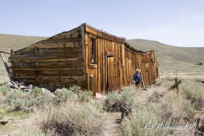 Bodie-262.jpg