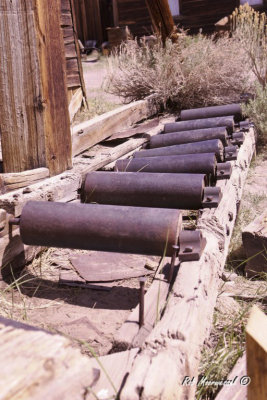 Bodie-291.jpg