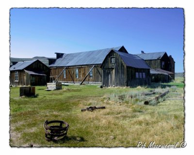 Bodie-300.jpg