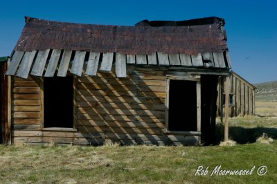 Bodie-307.jpg