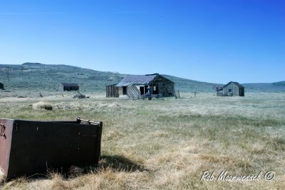 Bodie-319.jpg