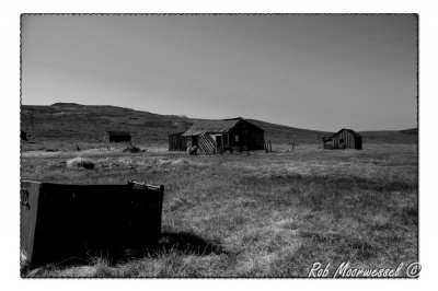 Bodie-322.jpg