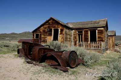 Bodie-334.jpg