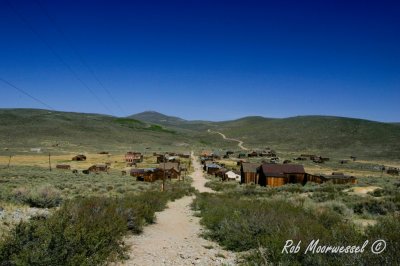 Bodie-342.jpg