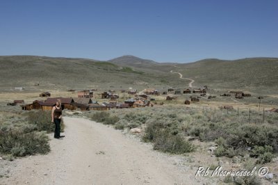Bodie-358.jpg
