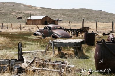 Bodie-36.jpg
