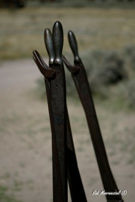 Bodie-366.jpg