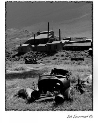 Bodie-373.jpg