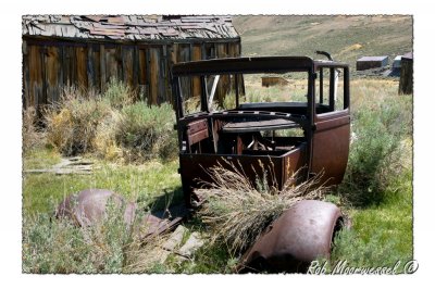 Bodie-380.jpg