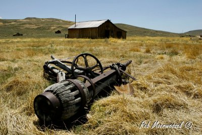 Bodie-4.jpg