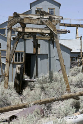 Bodie-400.jpg