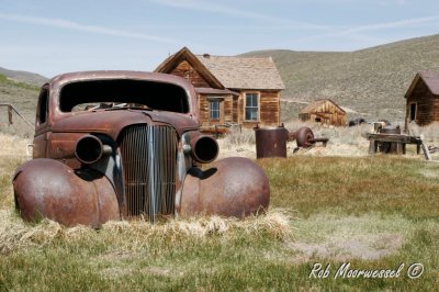 Bodie-45.jpg
