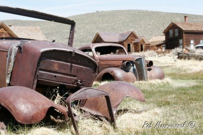 Bodie-49.jpg