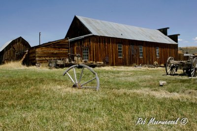 Bodie-5.jpg