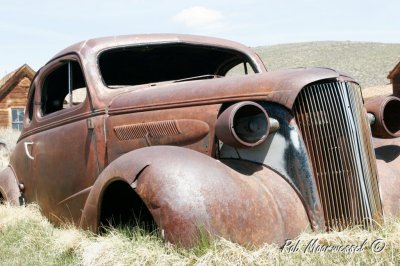 Bodie-55.jpg