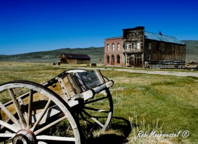 Bodie-8.jpg