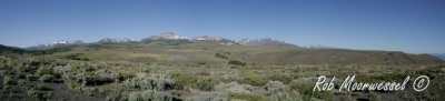 Bodie-9.jpg