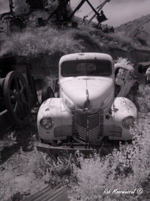 Jerome-16.jpg