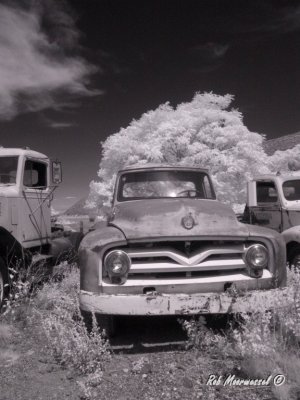 Jerome-26-Edit.jpg