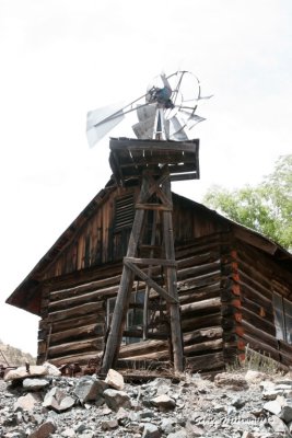 Jerome-125.jpg