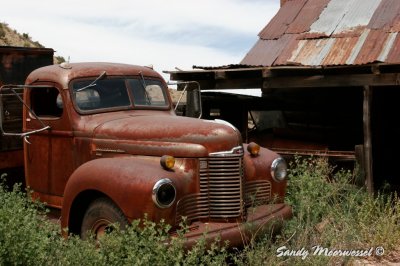 Jerome-153.jpg