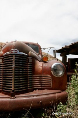 Jerome-162.jpg