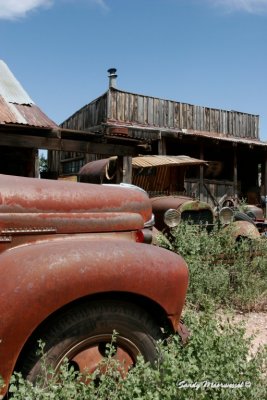 Jerome-189.jpg