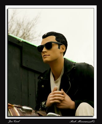 Joe Cool