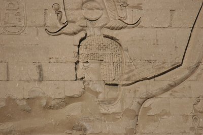 IMG_5999.JPG