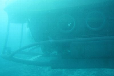 IMG_5753.JPG