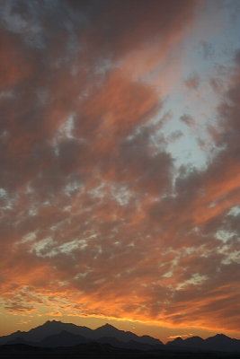 IMG_5884.JPG
