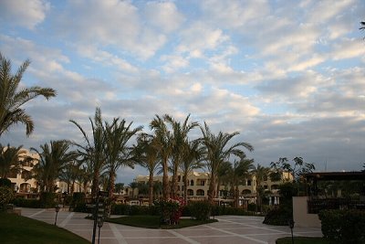 IMG_5899.JPG