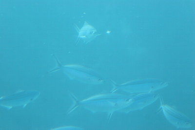 IMG_6602.JPG