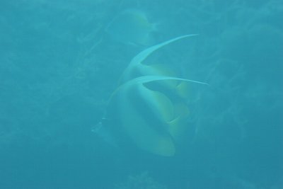 IMG_6667.JPG