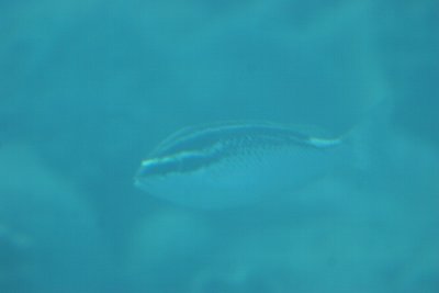 IMG_6675.JPG