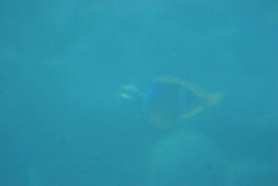 IMG_6682.JPG