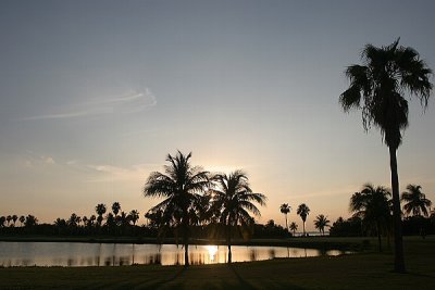 Miami Golf