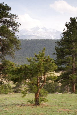 z_MG_4405 Severe haze dulls Longs Peak across Moraine Park in RMNP.jpg