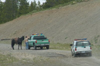 zP1000405 Small hazing team near Yellowstone.jpg