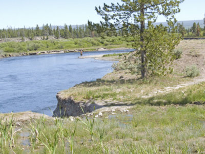 zP1000710 Bison habitat where hoof and paw prints were found beside Madison River.jpg
