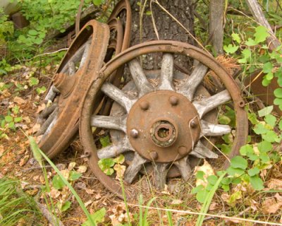 zP1000826 Resting place for tired wheels.jpg