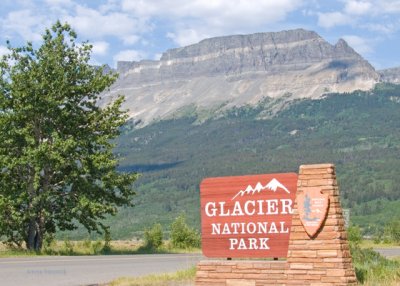 Glacier National Park 2007