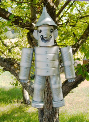 zP1010316 Tin Man by Bud Anderberg.jpg