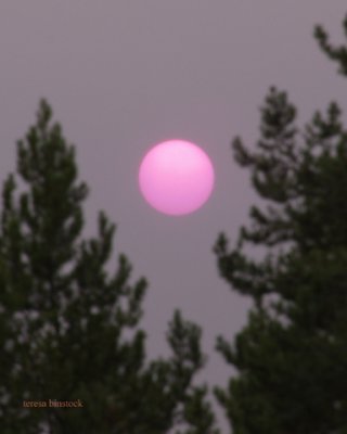 zP1010415 Sunset through wildfire smoke west of Glacier National Park.jpg