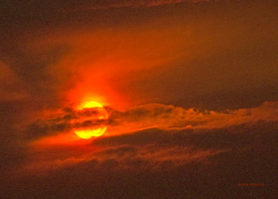 zP1010446 Wildfire-tinted sun at Lake Five near West Glacier Montana.jpg