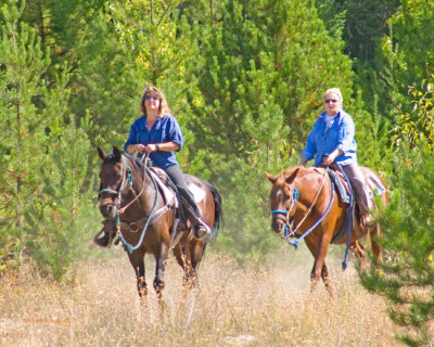 zP1010847 Dora and Wrangler returning from trail ride near Glacier National Park.jpg