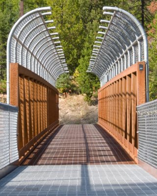 zP1020195 Bridge across railroad at Izaac Walton Lodge near Glacier National Park.jpg