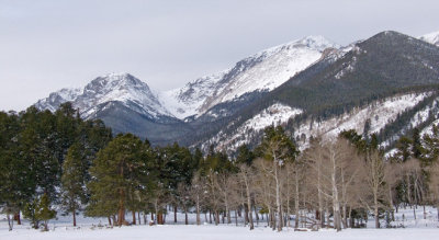 zP1030352 Trees in late autumn in RMNP.jpg