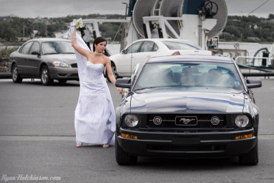 mustang1.jpg