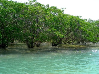 Barra do Qunha